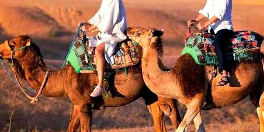 Marrakech: Dinner and Quad bike Desert Agafay Stars & show - Should you book this Agafay desert tour?