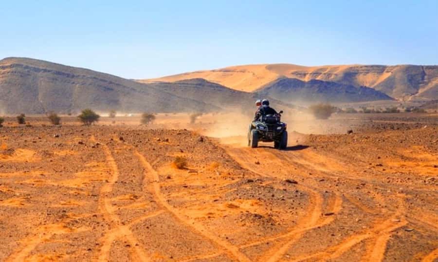 Marrakech: Dinner and Quad bike Desert Agafay Stars & show - A short camel ride across Agafay