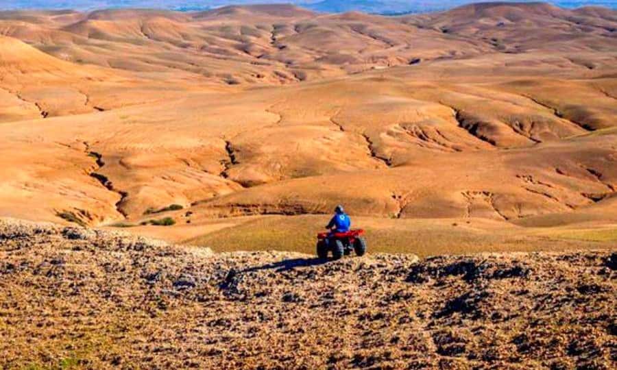 Marrakech: Dinner and Quad bike Desert Agafay Stars & show - What the $14 price really gives you