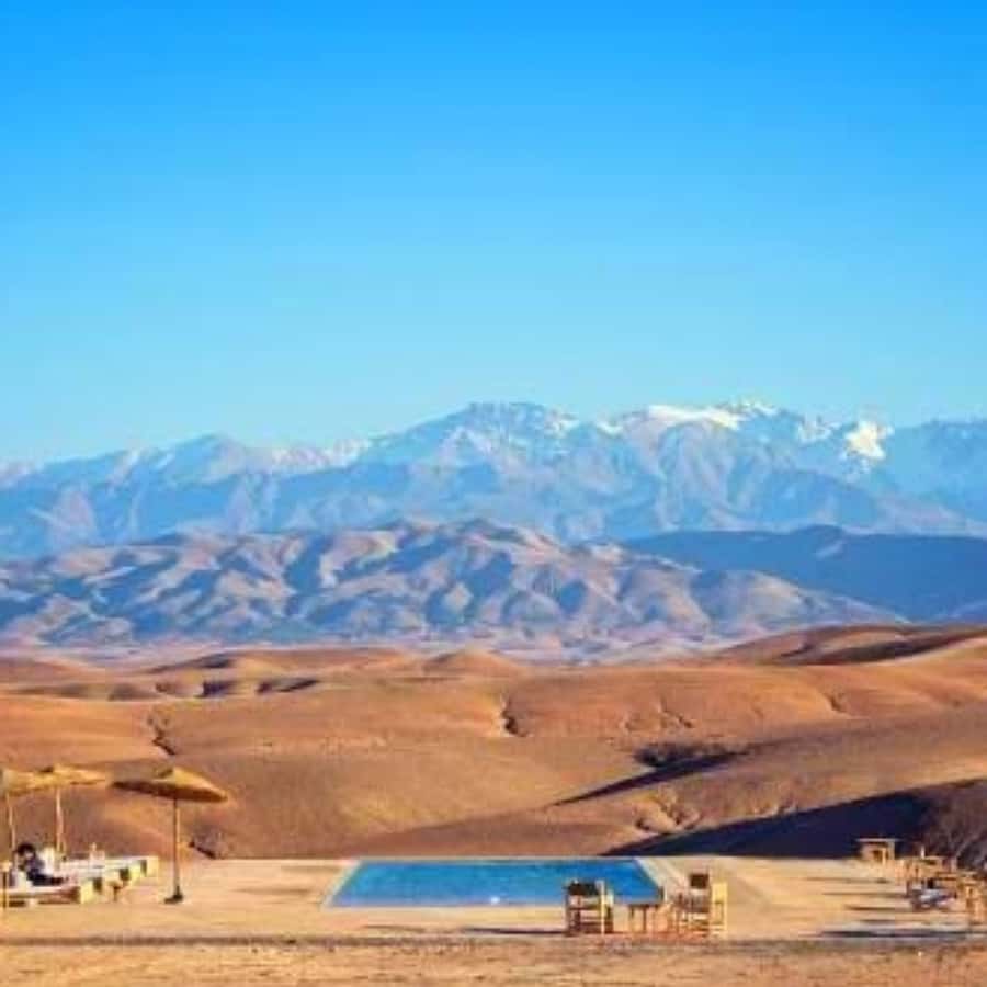 Marrakech: Dinner and Quad bike Desert Agafay Stars & show - Quad biking with safety before speed
