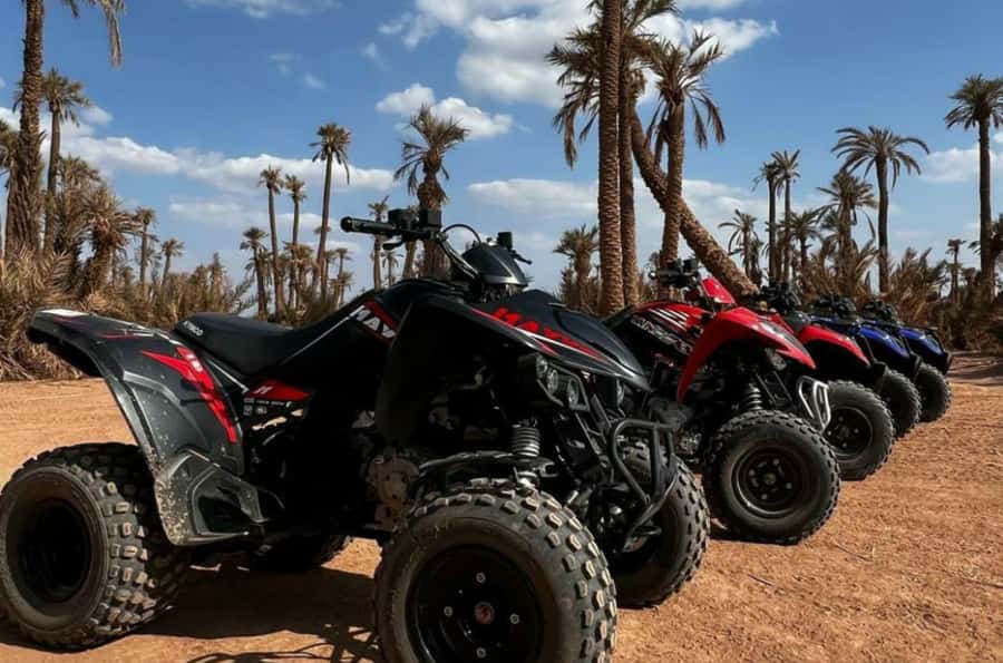 Marrakech: Dunes of the Palmeraie Quad Bike Ride with Tea - Who gets the most from this $15 outing