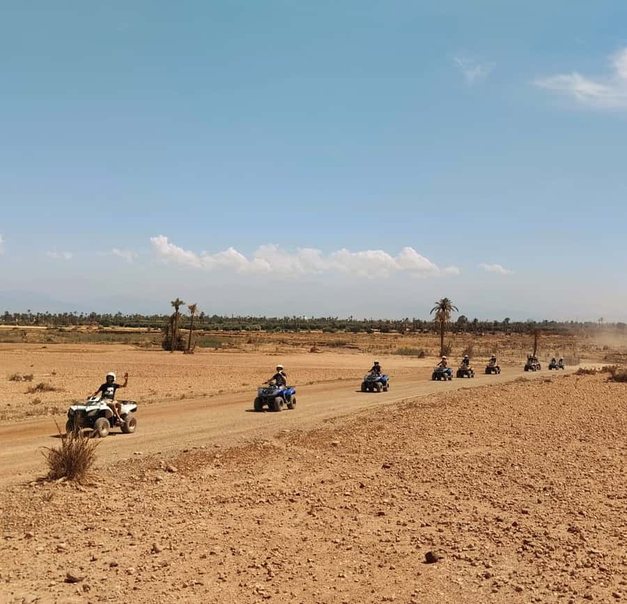 Marrakech:excursion quad in Oasis palm & jbilat desert,tea - Palm groves, dunes, and Berber villages