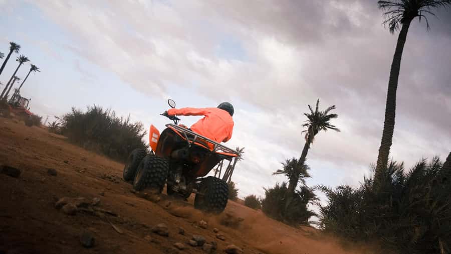 Marrakech:excursion quad in Oasis palm & jbilat desert,tea - The tea stop and the human side of the outing