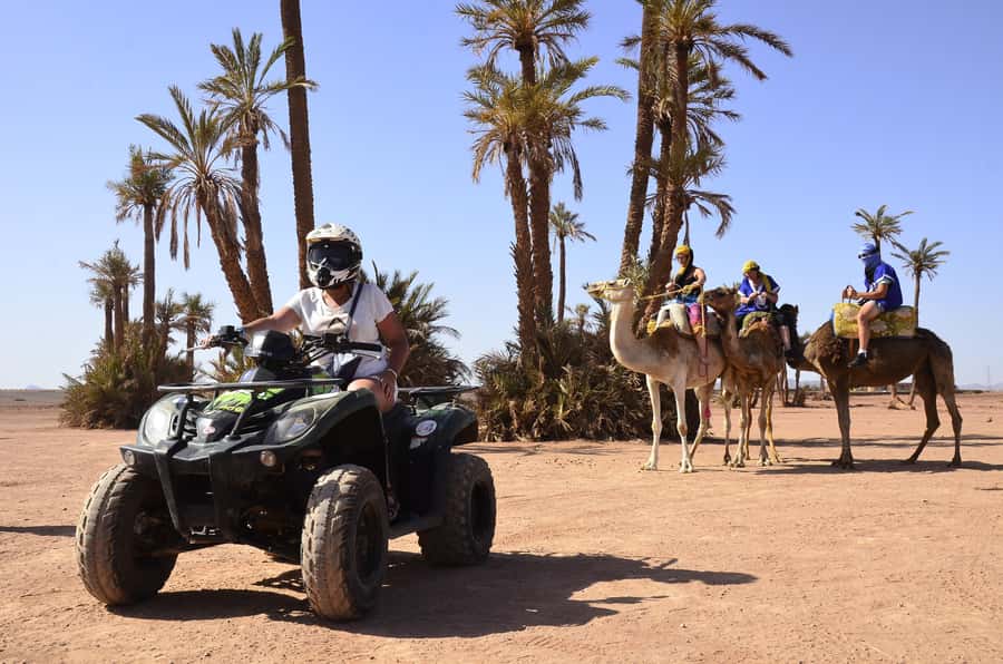 Marrakech:excursion quad in Oasis palm & jbilat desert,tea - Should you book the Palmeraie quad tour?