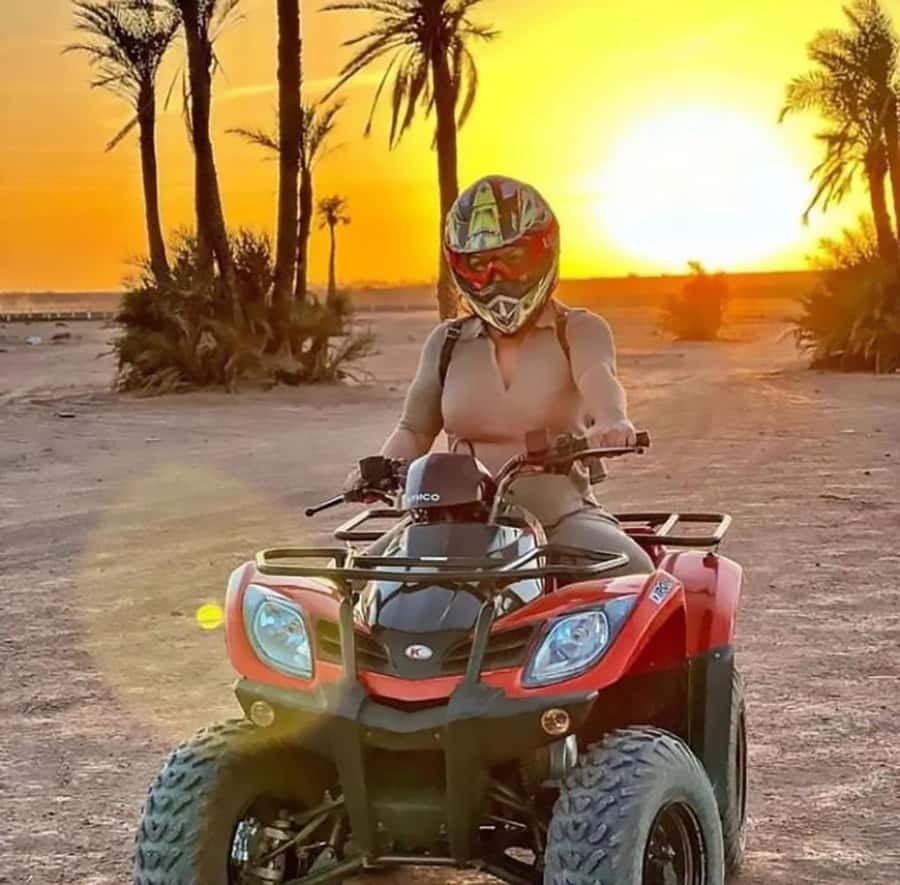 Marrakech, explore the palm grove desert by quad bike - Riding through palms and dry desert tracks