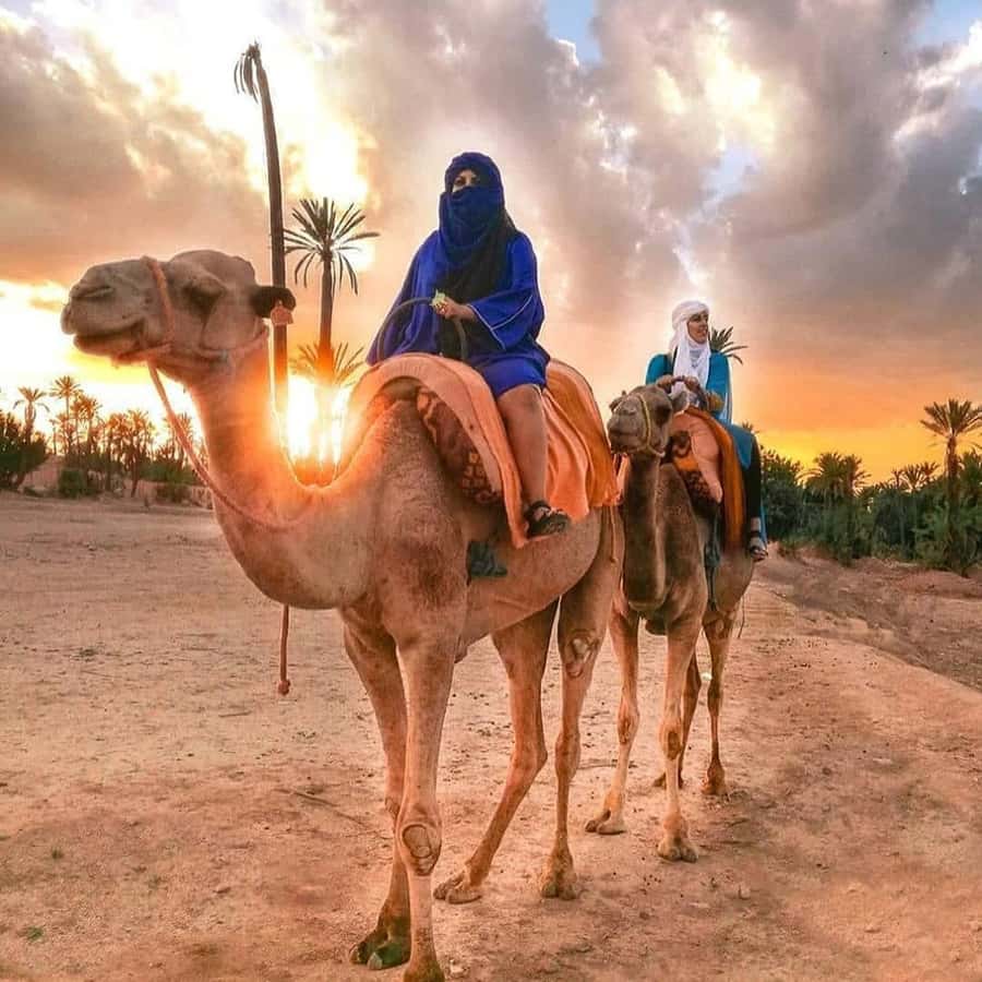 Marrakech: Half-Day Desert Quad Tour with Camel Ride - Should you book the Marrakech camel and quad tour?