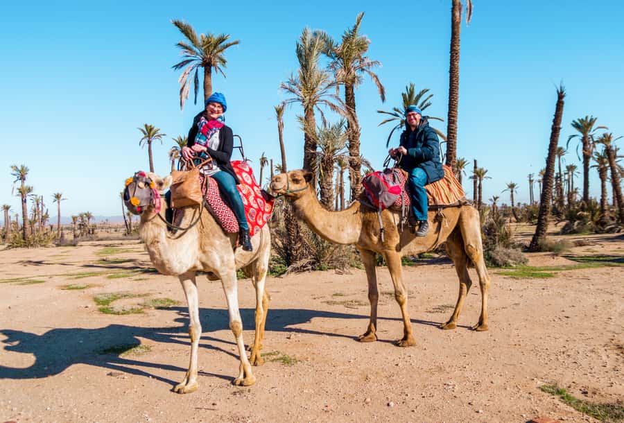 Marrakech: Half-Day Desert Quad Tour with Camel Ride - The one-hour dromedary ride and Berber village visit