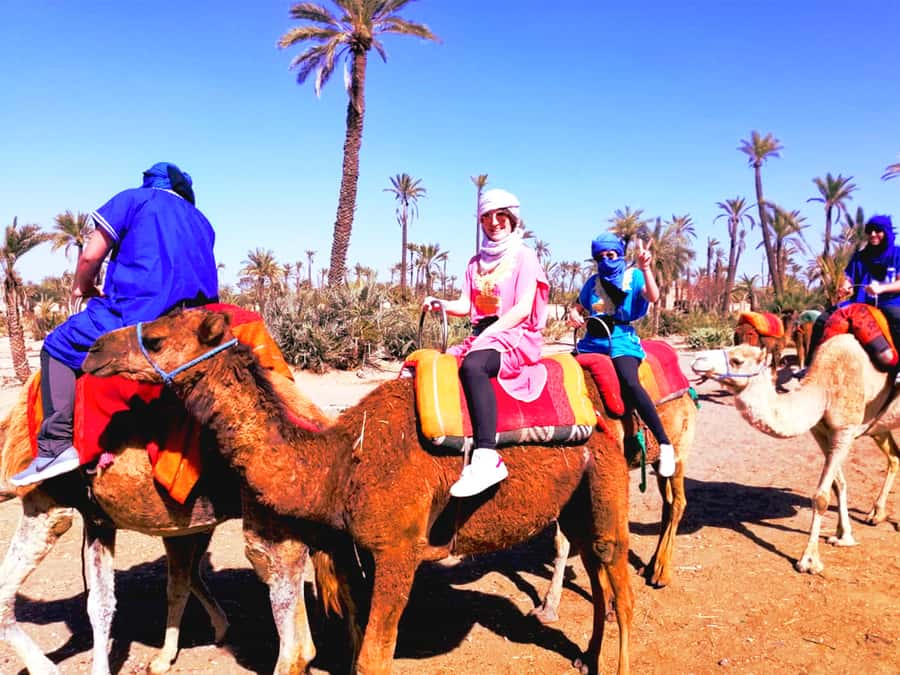 Marrakech: Half-day Dunes Trip With Buggy and Camel Ride - At a glance