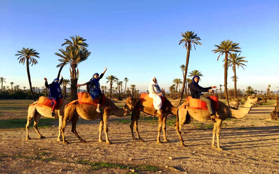 Marrakech: Half-day Dunes Trip With Buggy and Camel Ride - Leaving Marrakech for the open country