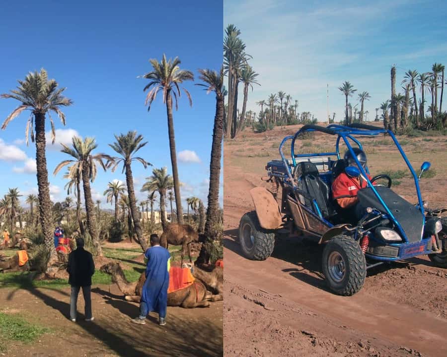 Marrakech: Half-day Dunes Trip With Buggy and Camel Ride - A Berber village pause between rides