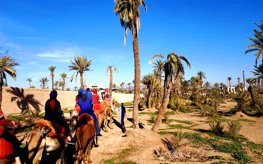 Marrakech: Half-day Dunes Trip With Buggy and Camel Ride - Timing, language, and small details that matter