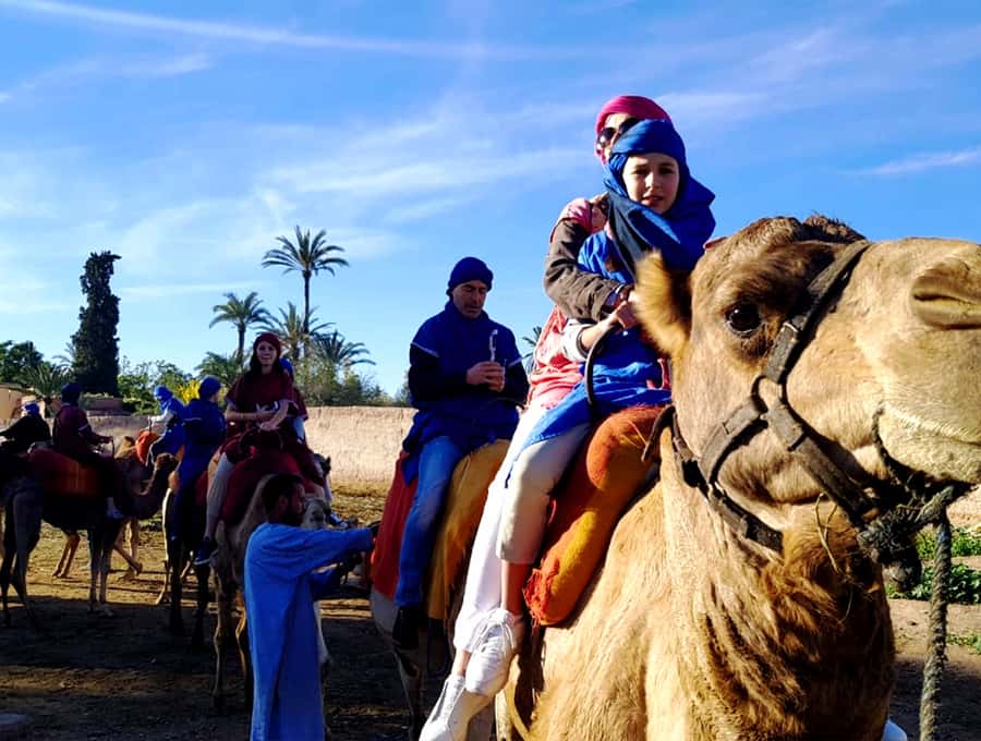 Marrakech: Half-day Dunes Trip With Buggy and Camel Ride - The buggy ride: 105 minutes of dust and control