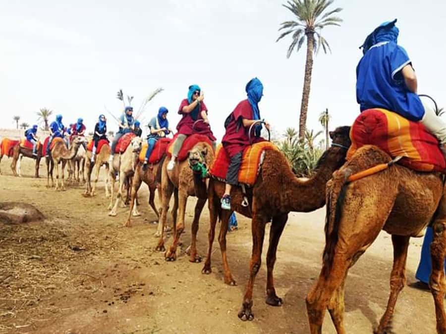 Marrakech: Half-Day Tour with Buggy Ride, Camel Ride and Spa - From your Marrakech hotel to the Berber village