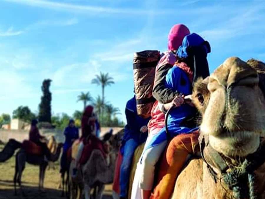Marrakech: Half-Day Tour with Buggy Ride, Camel Ride and Spa - Coffee, mint tea, and a closer look at village life