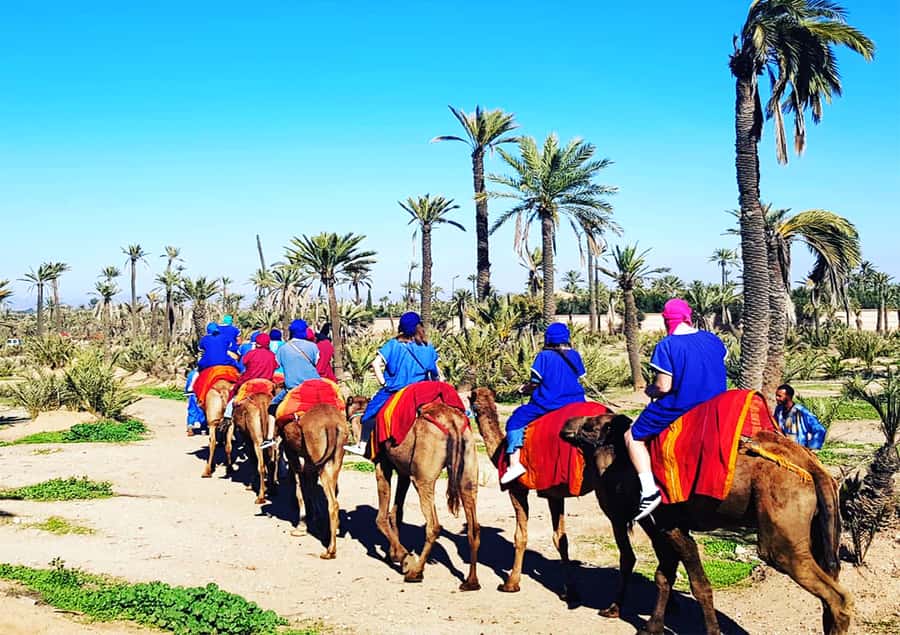 Marrakech: Half-Day Tour with Buggy Ride, Camel Ride and Spa - A one-hour camel ride near Marrakech