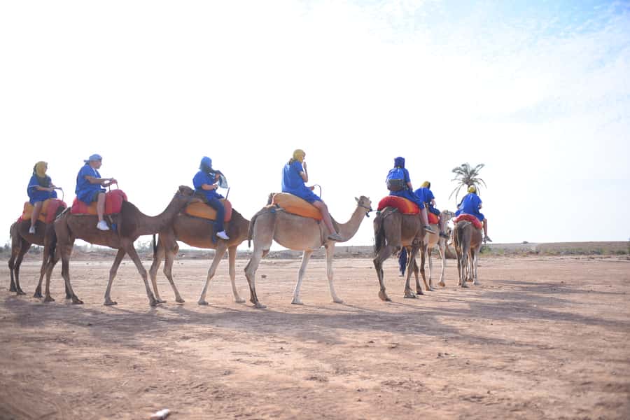 Marrakech: pack quad and camel ride in the palm grove - Pickup from Marrakech and the 30-minute drive