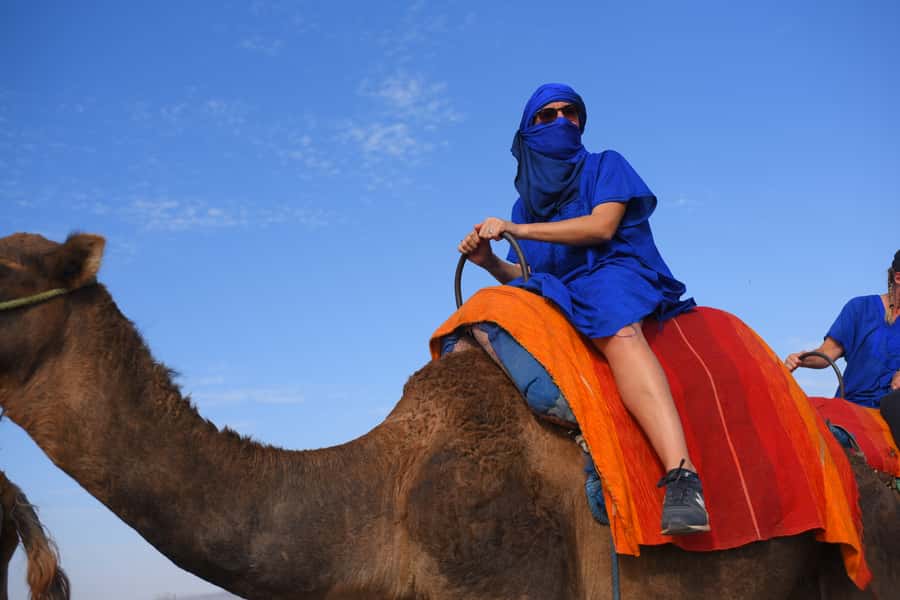 Marrakech: pack quad and camel ride in the palm grove - Two hours across rocky ground and palm trees