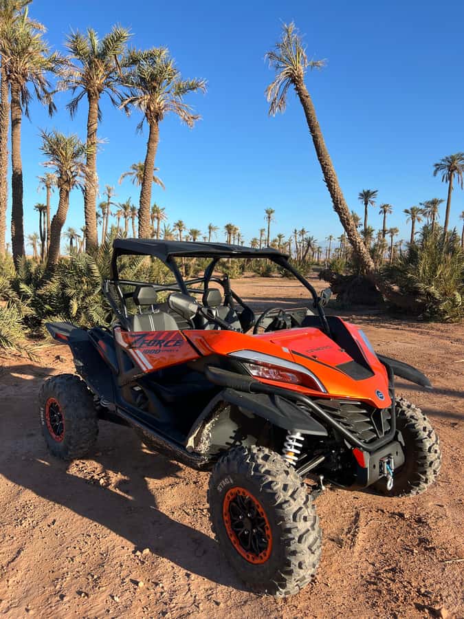 Marrakech : Palm Grove and jbilat Desert Buggy 1000cc Tour - Quick points before you book