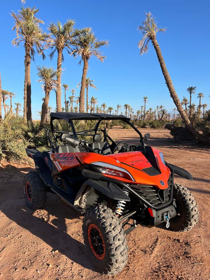 Marrakech : Palm Grove and jbilat Desert Buggy 1000cc Tour - From Jamaa el Fna to the Palmeraie