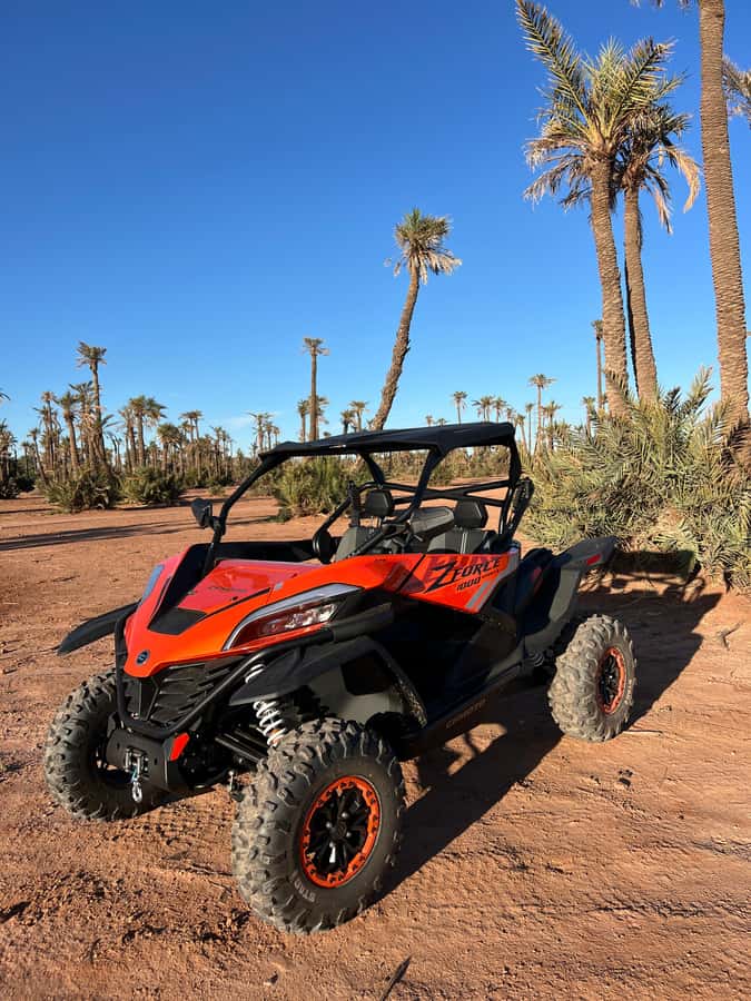 Marrakech : Palm Grove and jbilat Desert Buggy 1000cc Tour - Two hours across rocky desert and palm trees