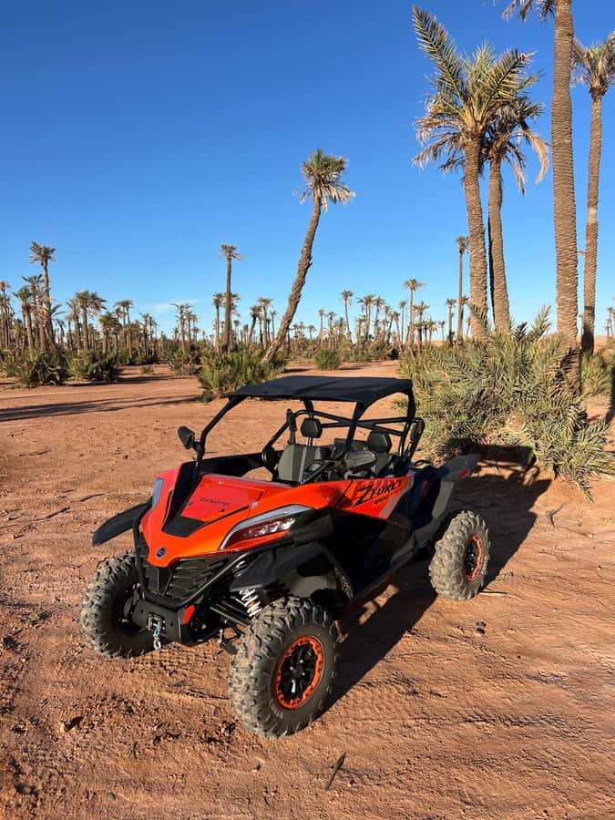 Marrakech : Palm Grove and jbilat Desert Buggy 1000cc Tour - The mint tea pause at a traditional villa