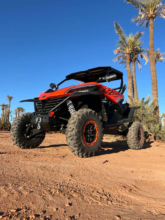 Marrakech : Palm Grove and jbilat Desert Buggy 1000cc Tour - A second palm-grove stop for photos