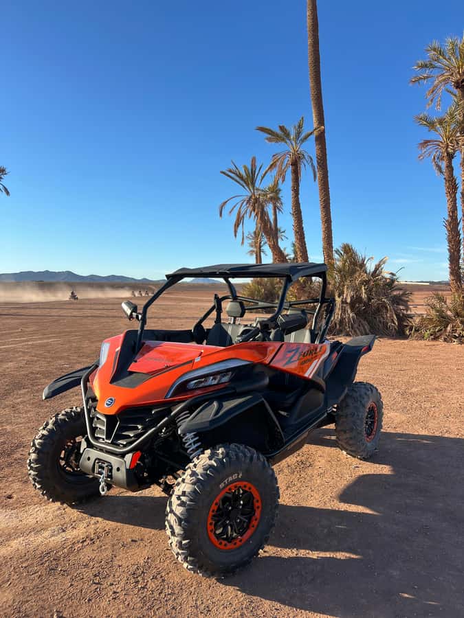 Marrakech : Palm Grove and jbilat Desert Buggy 1000cc Tour - Who will enjoy this ride most
