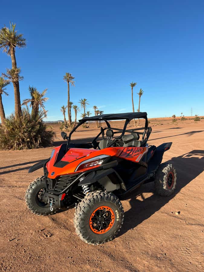 Marrakech : Palm Grove and jbilat Desert Buggy 1000cc Tour - Practical details that make the day easier