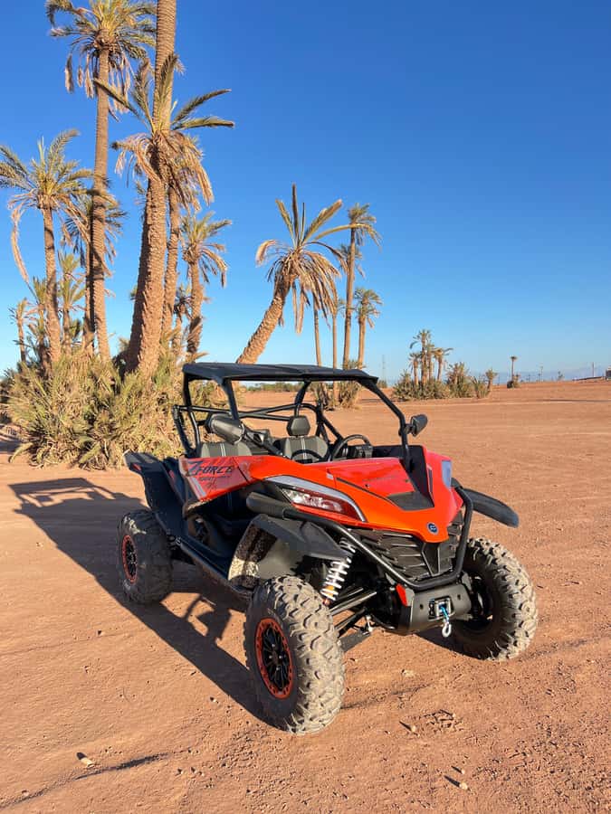 Marrakech : Palm Grove and jbilat Desert Buggy 1000cc Tour - Should you book the Marrakech buggy tour?