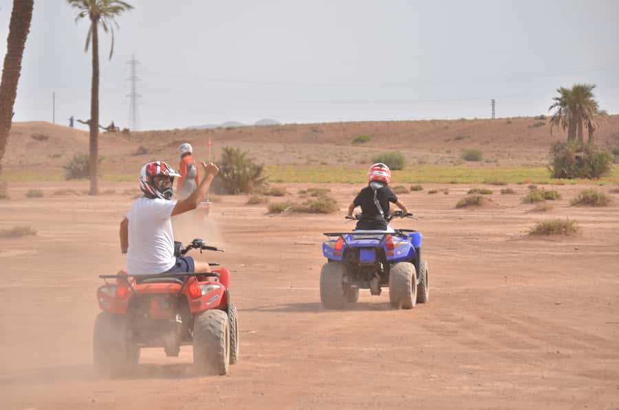 Marrakech: Palm Grove Quad Bike Tour - Key points to know before you book