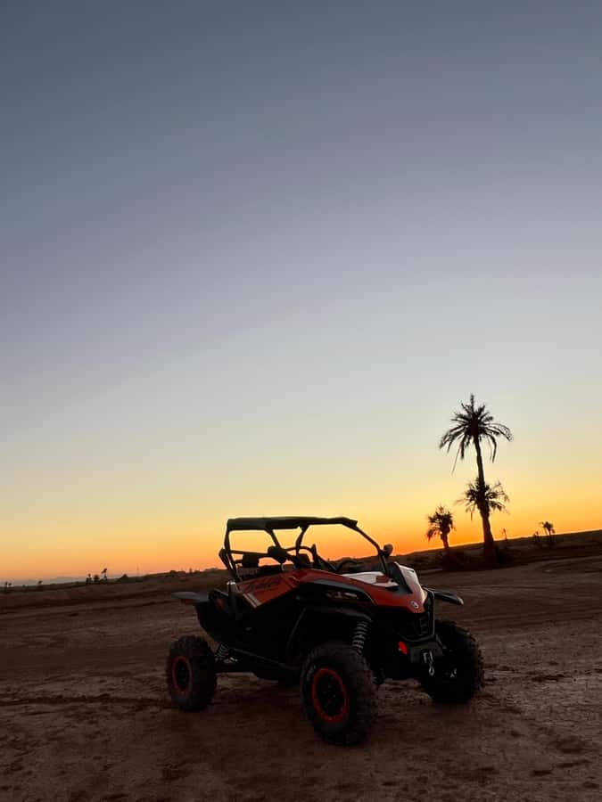 Marrakech: Palm Grove Sunset Buggy Tour - Key points to know before booking