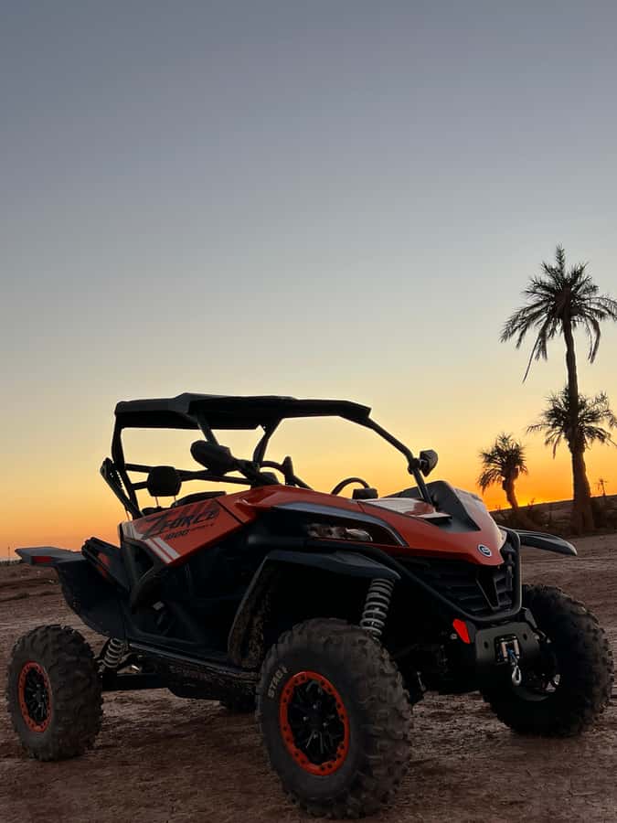 Marrakech: Palm Grove Sunset Buggy Tour - What the three-hour Marrakech buggy tour is really like
