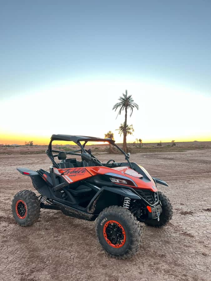 Marrakech: Palm Grove Sunset Buggy Tour - The mint tea stop and photo break