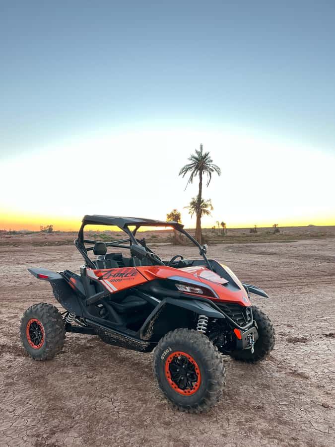 Marrakech: Palm Grove Sunset Buggy Tour - Sunset views, with one important qualification