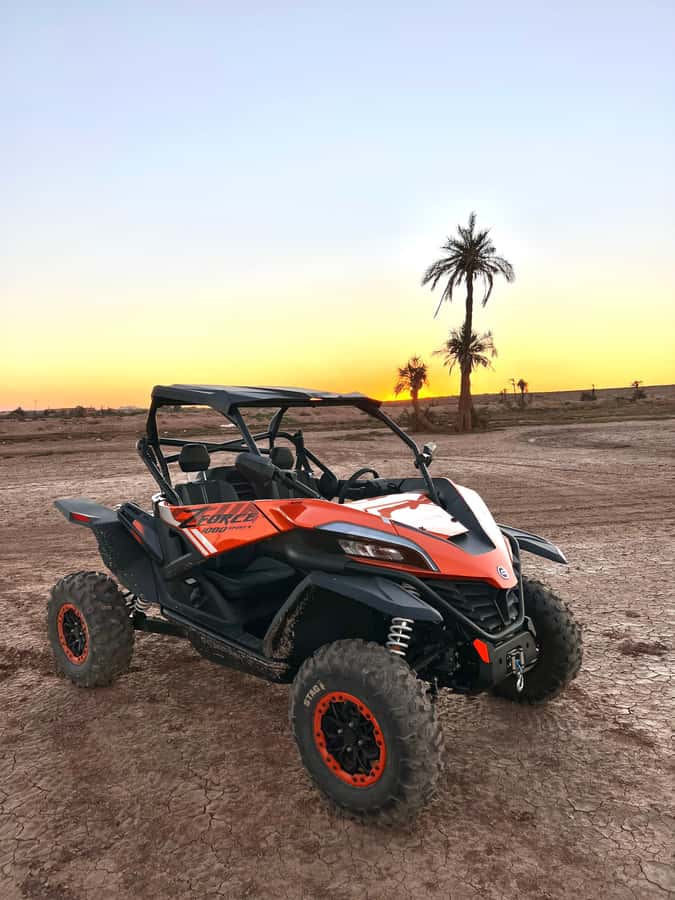 Marrakech: Palm Grove Sunset Buggy Tour - What the guides add to the experience