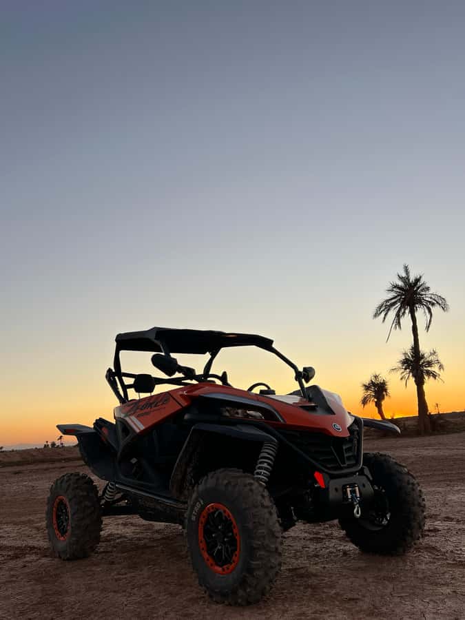 Marrakech: Palm Grove Sunset Buggy Tour - Small group size and sharing the buggy