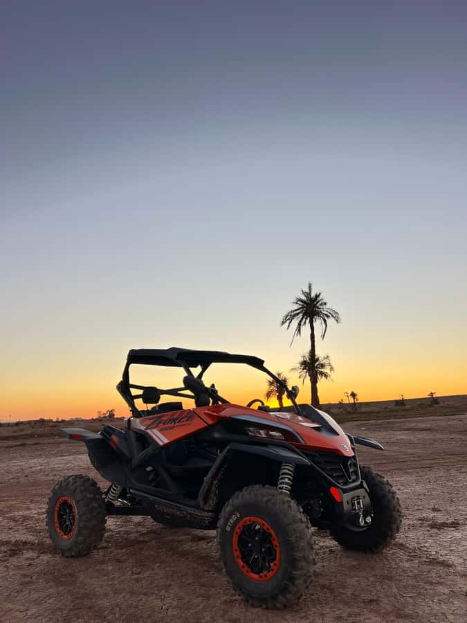 Marrakech: Palm Grove Sunset Buggy Tour - Who should book this outing