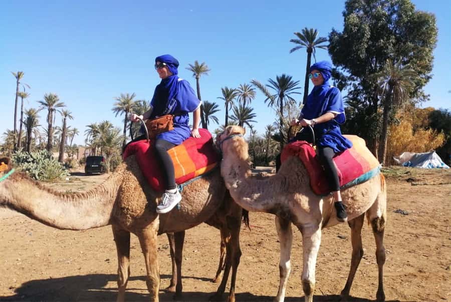 Marrakech Palmeraie: Camel Ride & Quad Bike Experience - Key points to know before you book