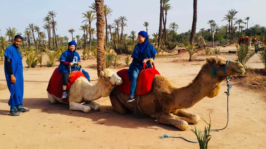 Marrakech Palmeraie: Camel Ride & Quad Bike Experience - What the Palmeraie setting adds to the day