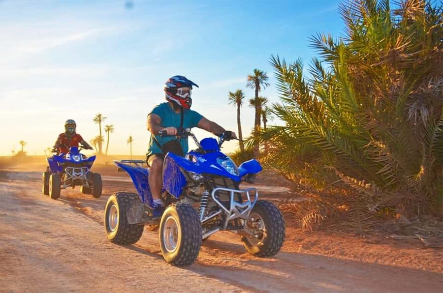 Marrakech Palmeraie: Camel Ride & Quad Bike Experience - Useful preparation for a smoother ride