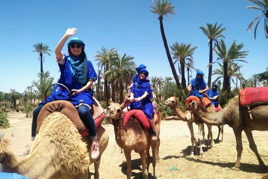 Marrakech Palmeraie: Camel Ride & Quad Bike Experience - Pickup from your Marrakech hotel or riad