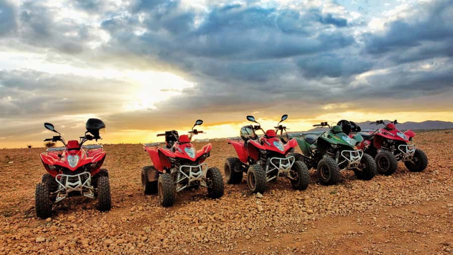 Marrakech: Palmeraie Guided Quad Biking Tour with Tea - Riding the Palmeraie beyond Marrakech