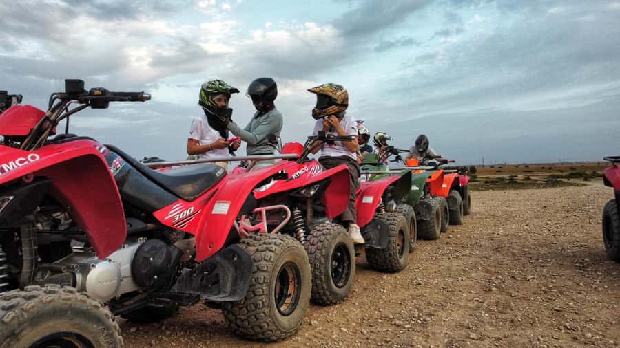 Marrakech: Palmeraie Guided Quad Biking Tour with Tea - The palm-tree photo stop