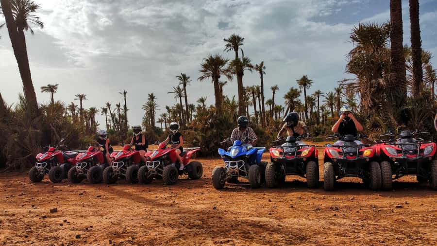 Marrakech: Palmeraie Guided Quad Biking Tour with Tea - Mint tea, bread with honey, and olives