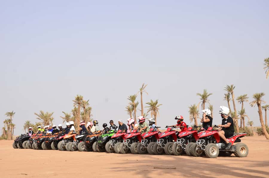 Marrakech: Palmeraie Guided Quad Tour with Tea Break - Who should book this Palmeraie ride?