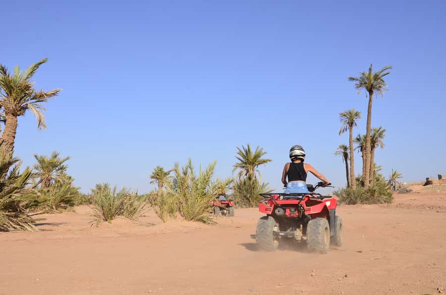 Marrakech: Palmeraie Guided Quad Tour with Tea Break - Is $21 good value for three hours?