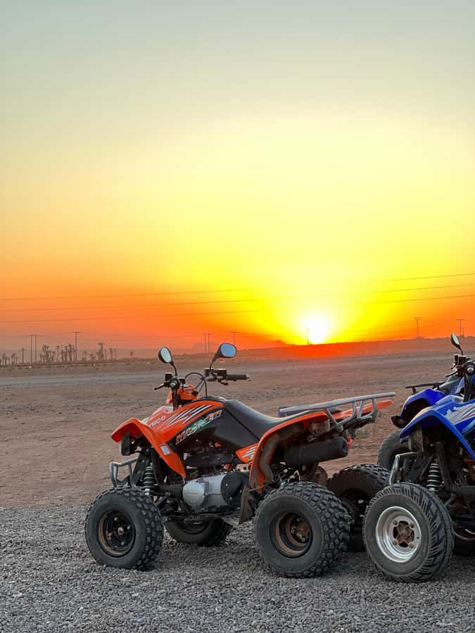 Marrakech: Palmeraie Private Quad Bike Experience - The photo stop among the palms