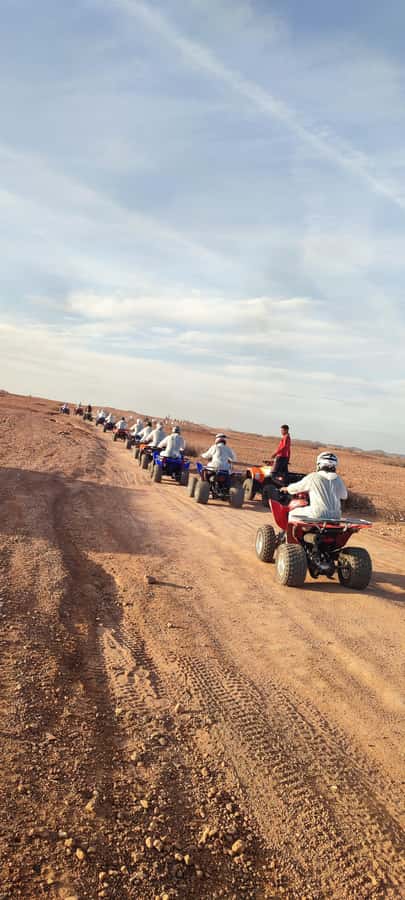Marrakech: Palmeraie Private Quad Bike Experience - Who will enjoy this most