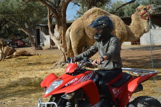 Marrakech Palmeraie Quad Bike Desert Adventure - Mint tea, biscuits, and a pause by the palms