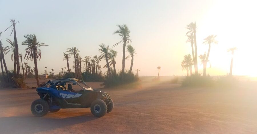 Marrakech: Private Palm Grove Camel and Quad Bike Ride - Switching from camel power to quad power